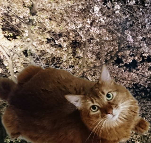 20190406144834253.jpg