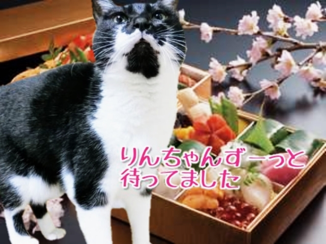 20190414133728549.jpg
