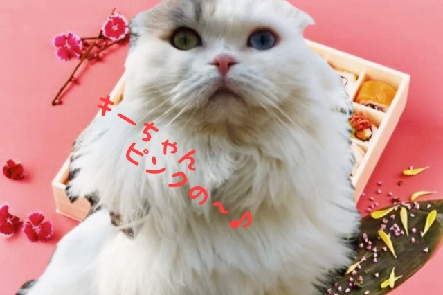 20190414142431218.jpg