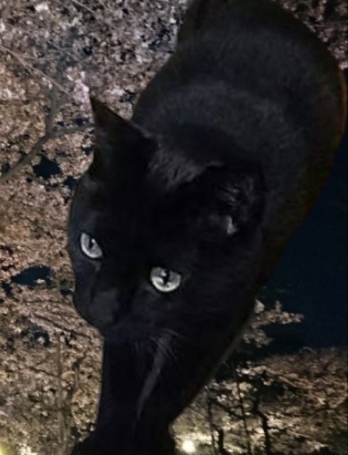 20190416135156921.jpg