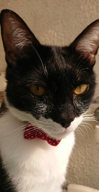 20190419073617355.jpg