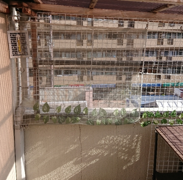20190423085510515.jpg