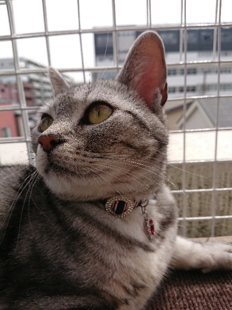 20190423100333087.jpg