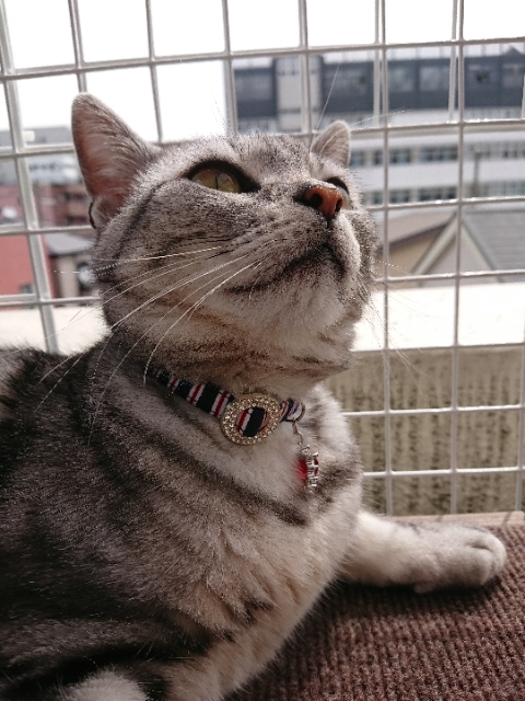 20190423100359272.jpg