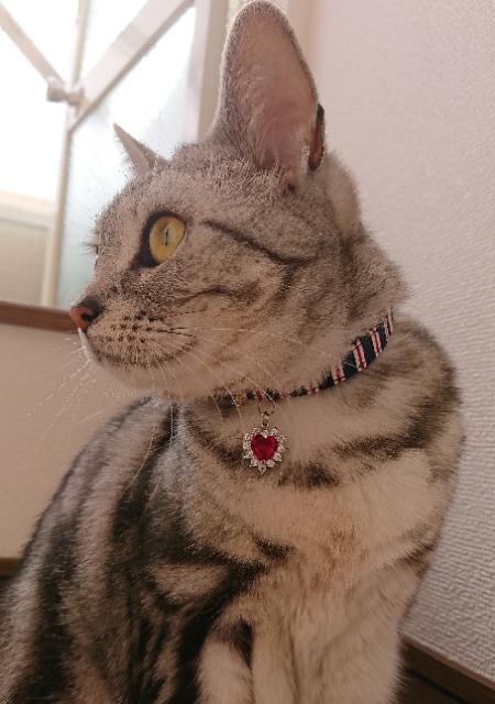 20190423102326865.jpg
