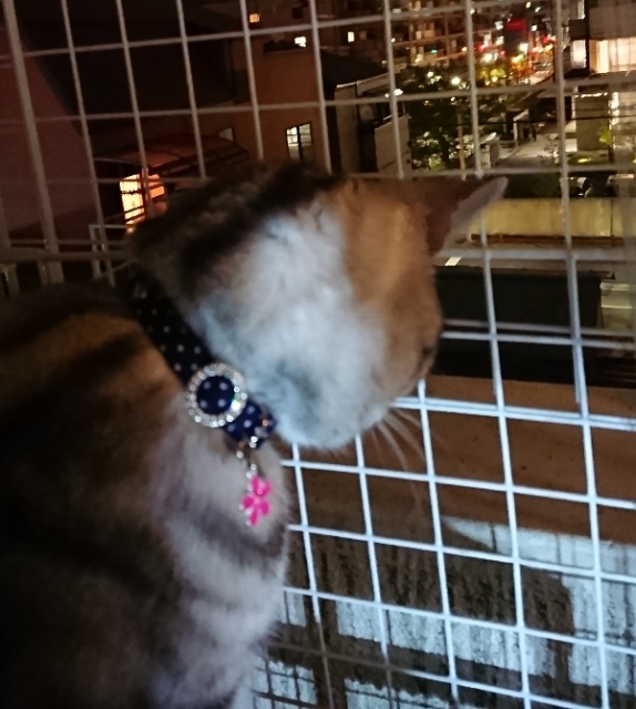 20190424211828096.jpg