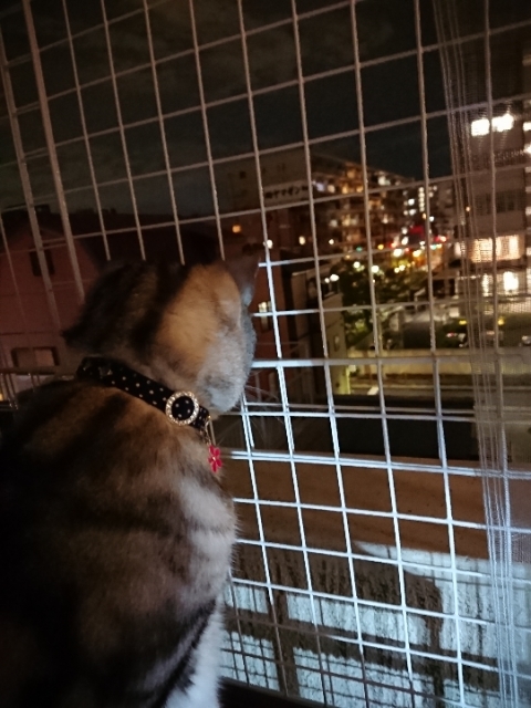 20190424214015050.jpg