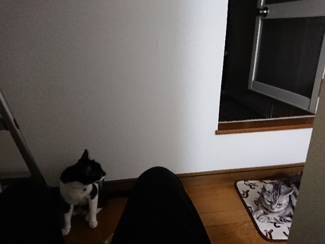 20190424215615565.jpg