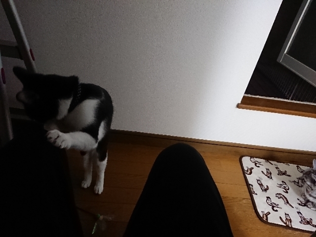20190424215631332.jpg
