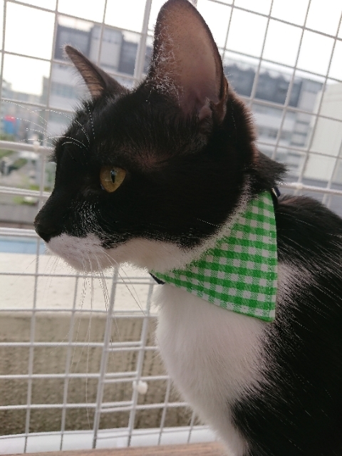 20190425072040973.jpg