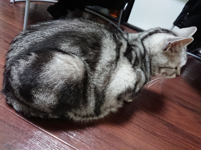 20190425213635500.jpg