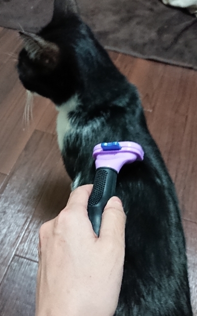 20190425220225571.jpg