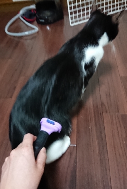 20190425220307089.jpg