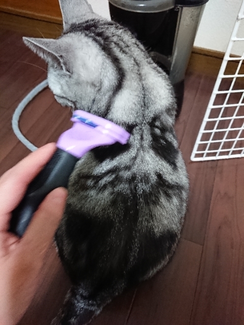 20190425220400131.jpg