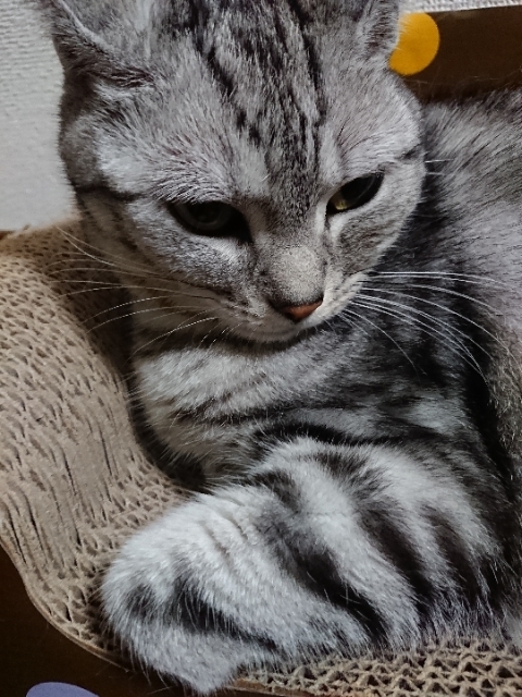 20190425222117952.jpg
