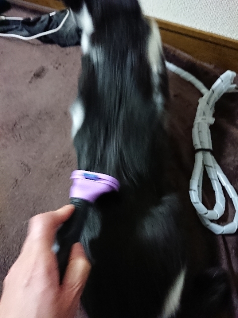 20190425222740625.jpg