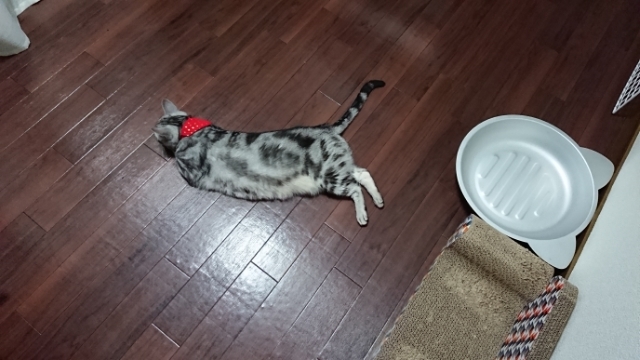 20190525201631946.jpg
