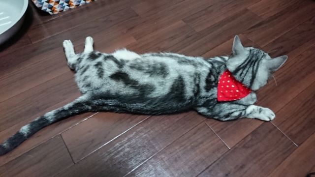 20190525201655786.jpg
