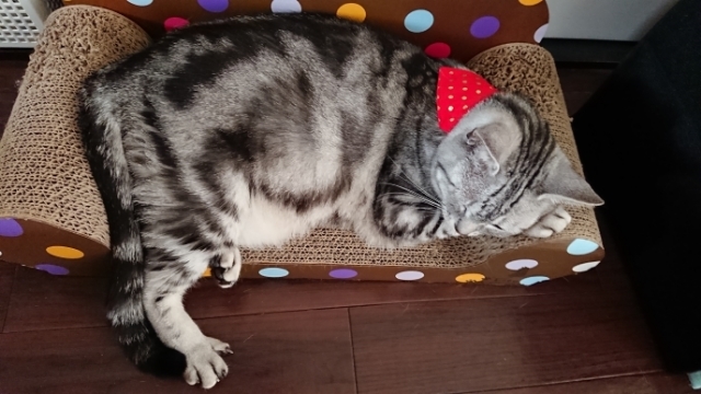 20190526065215856.jpg