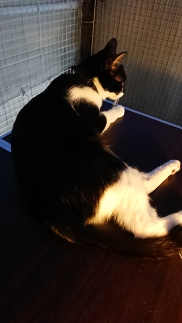 20190526070126310.jpg