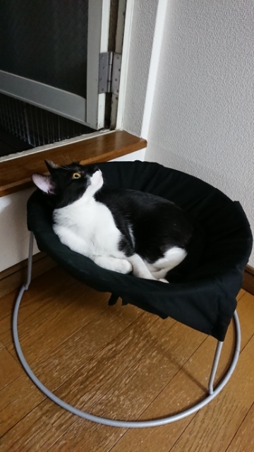 20190526070138614.jpg