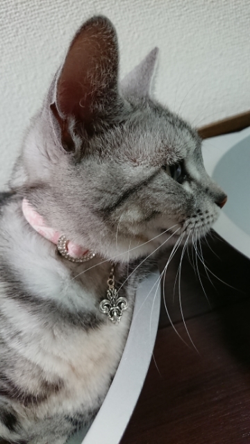 20190527133747950.jpg