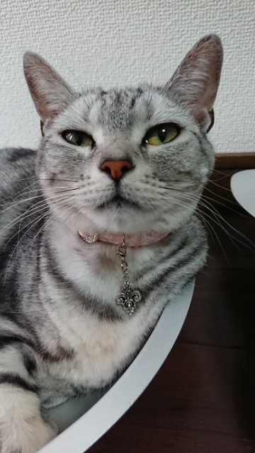 20190527133755996.jpg