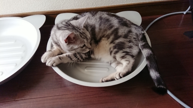 20190527133923176.jpg