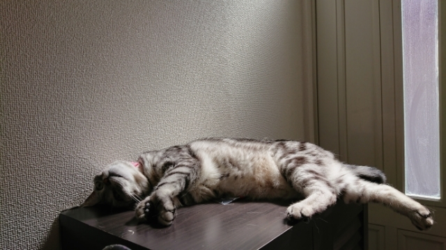 20190527134201718.jpg