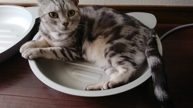 20190527134429044.jpg