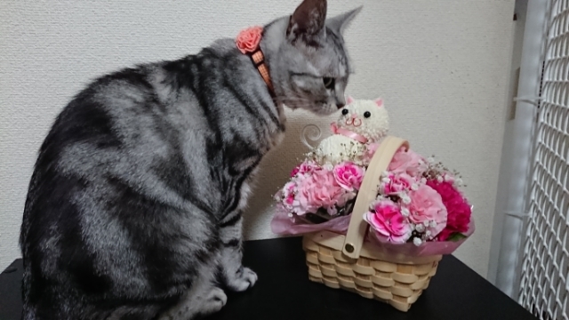 20190530200515661.jpg