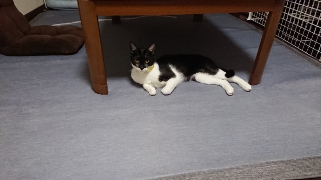20190530211858597.jpg