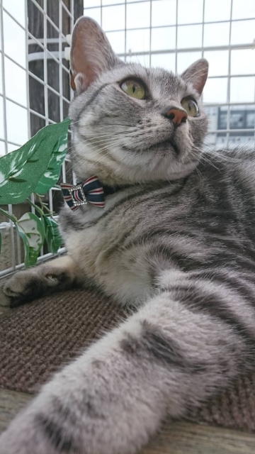 20190626181111987.jpg