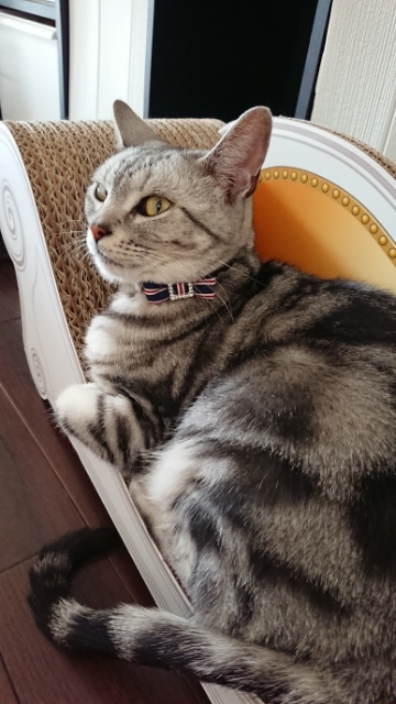 20190626181739368.jpg