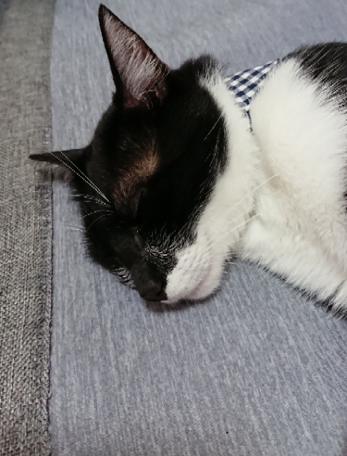 20190628120639598.jpg