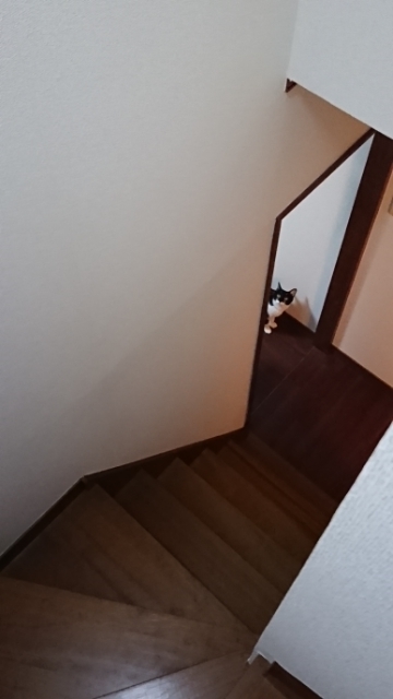 20190628192541764.jpg