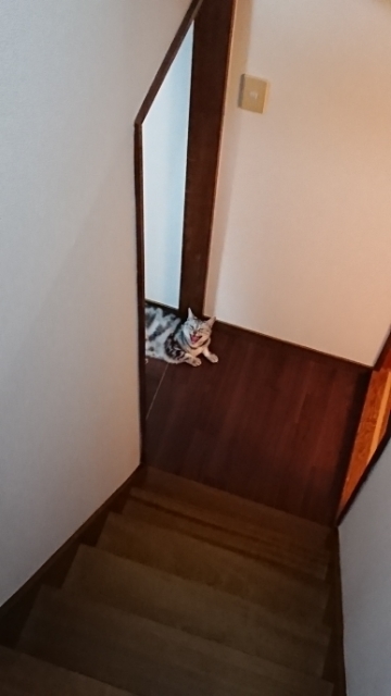 20190628192628845.jpg