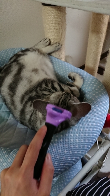 20190630085056685.jpg