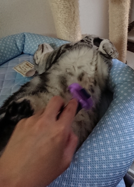 20190630085129726.jpg