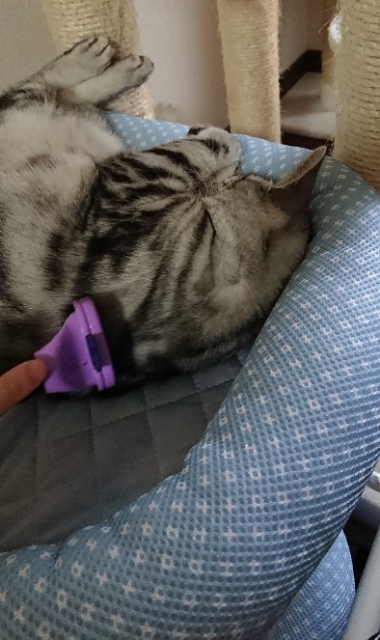 20190630085148082.jpg