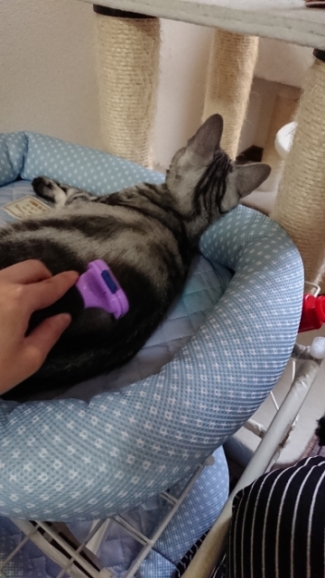 20190630085324328.jpg