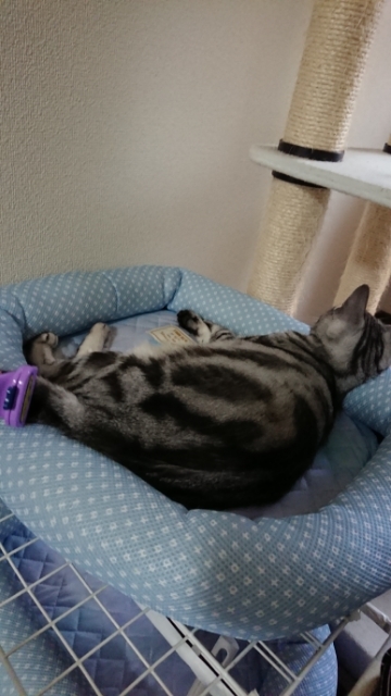 20190630085415434.jpg
