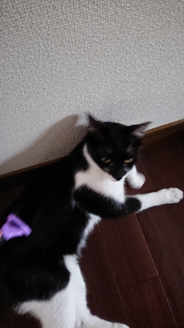 20190630090854591.jpg