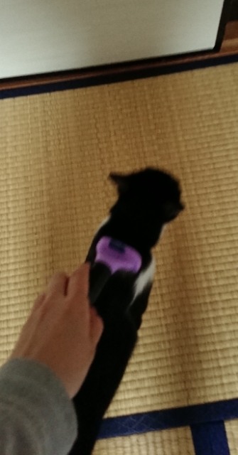 20190630091036501.jpg