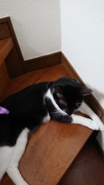 20190630091249832.jpg