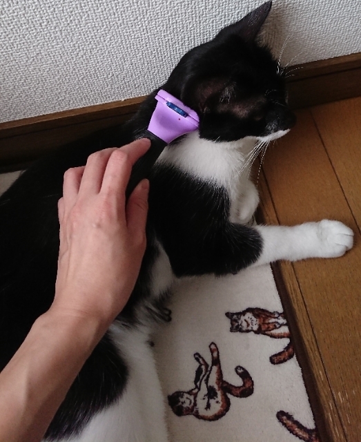 20190630091325124.jpg