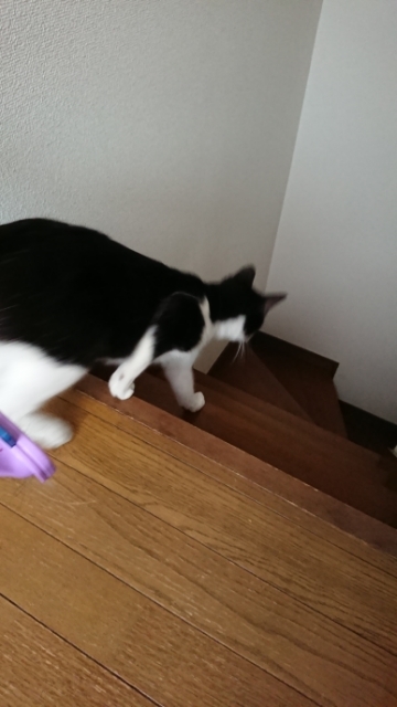 20190630091348346.jpg