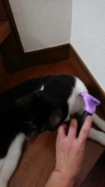 20190630091422610.jpg