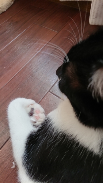 20190710195845590.jpg