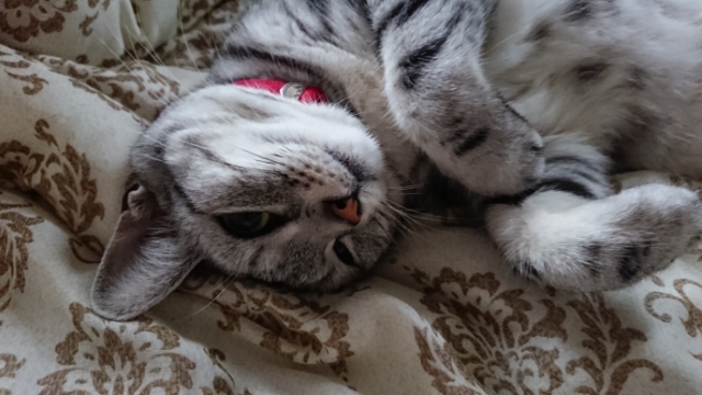 20190712062127510.jpg